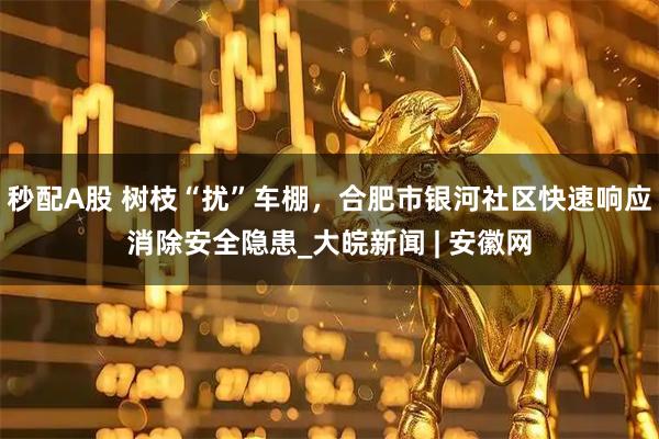 秒配A股 树枝“扰”车棚，合肥市银河社区快速响应消除安全隐患_大皖新闻 | 安徽网