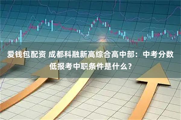 爱钱包配资 成都科融新高综合高中部：中考分数低报考中职条件是什么？